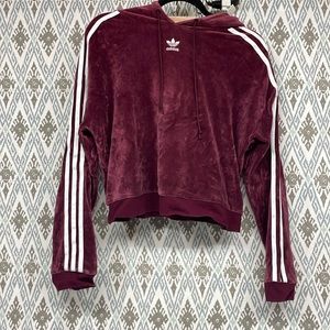 Adidas Originals Velvety Maroon Velour Cropped Hoodie Size S